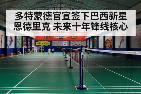 多特蒙德官宣签下巴西新星恩德里克 未来十年锋线核心
