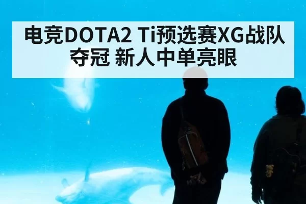 电竞DOTA2 Ti预选赛XG战队夺冠 新人中单亮眼